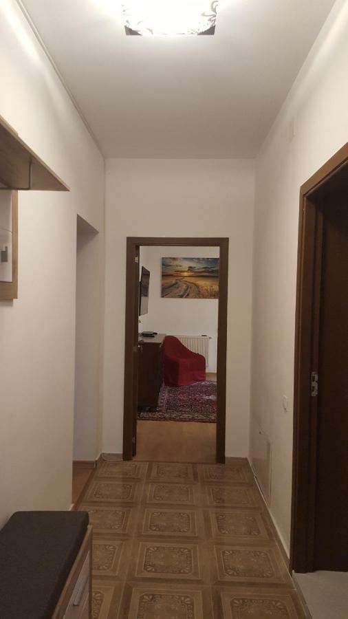 Casa Soarelui Apartment Roşu Екстериор снимка
